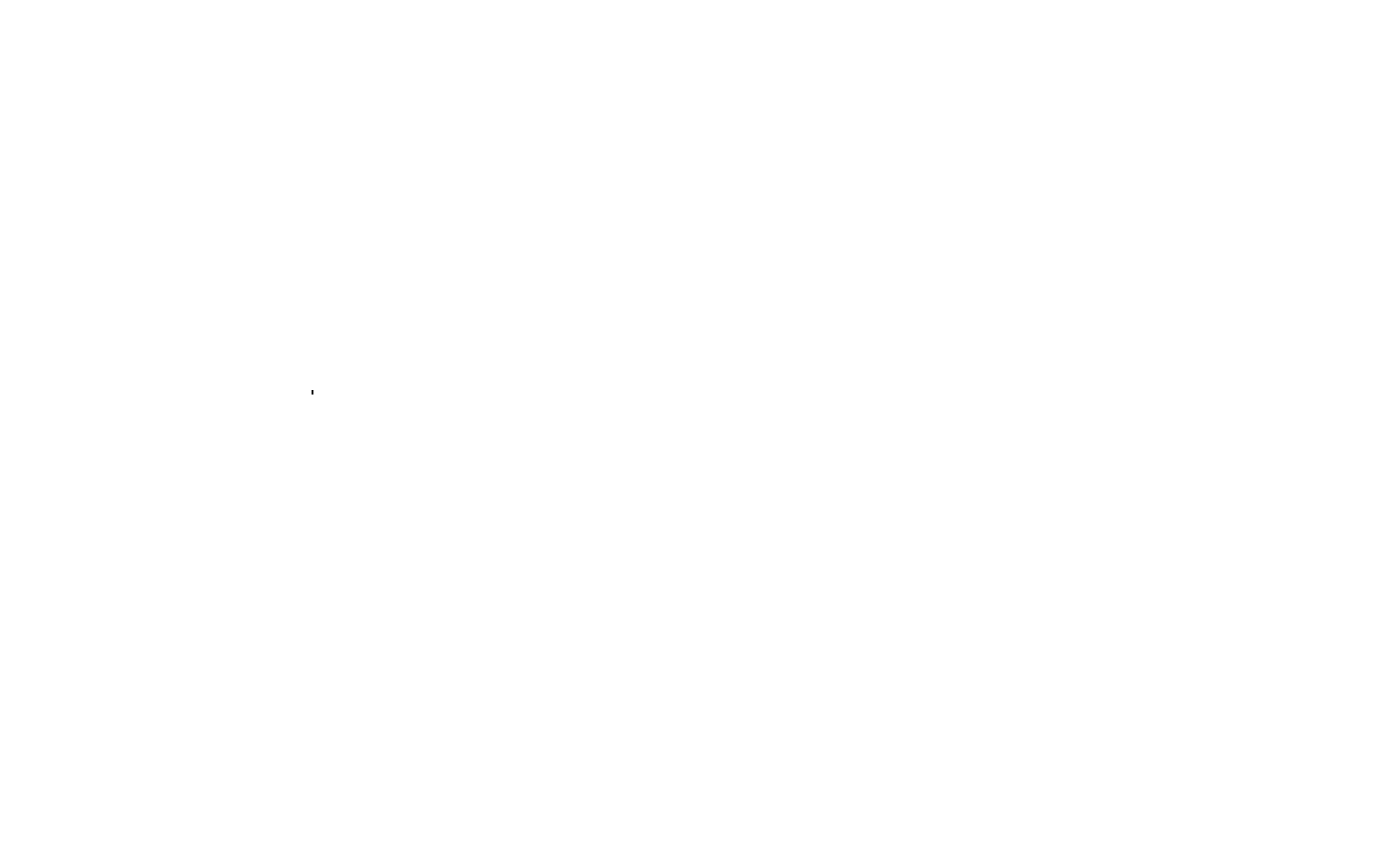 Studio Ribolli